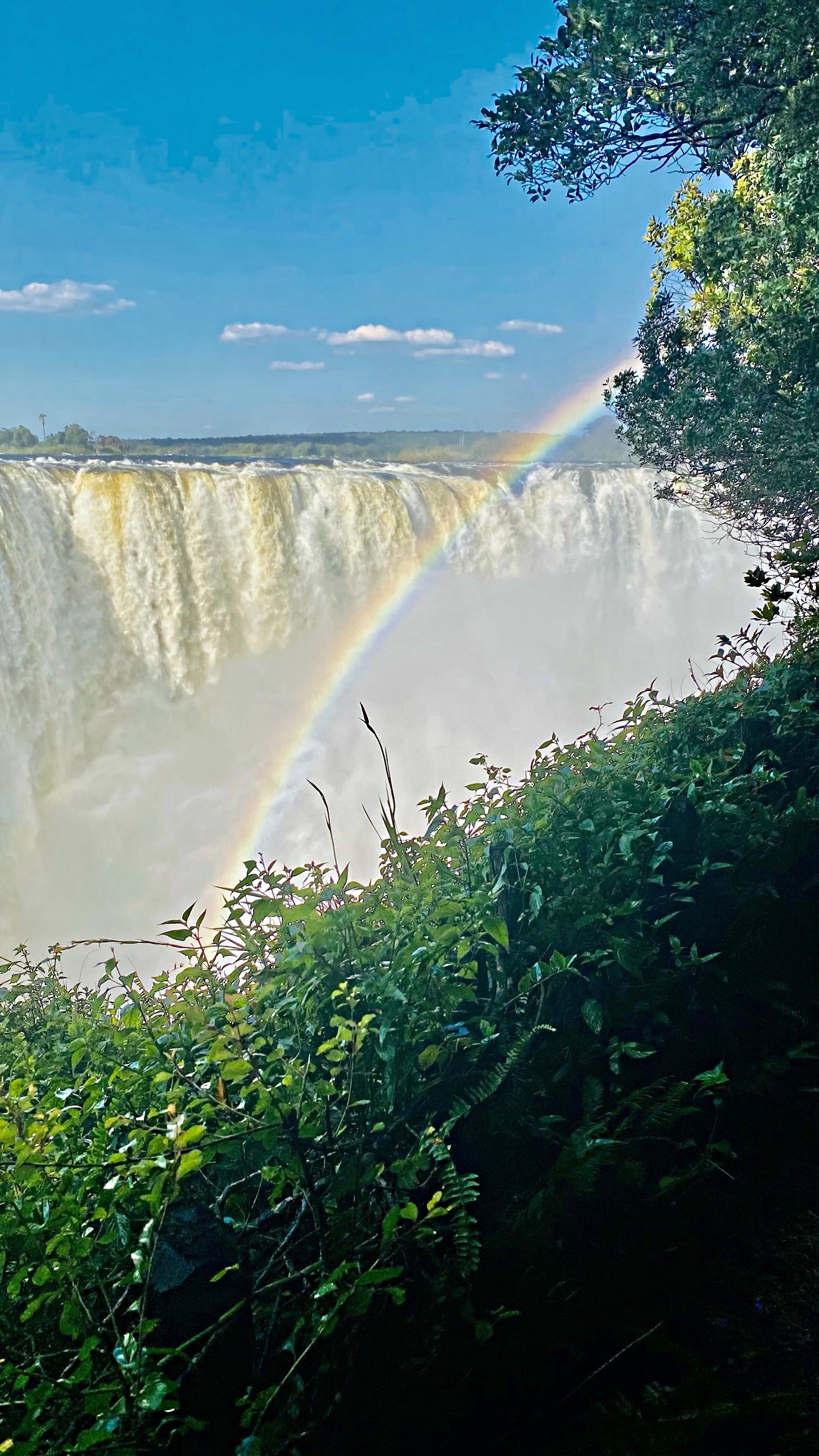 Victoria Falls pouring into the gorge with a full rainbow arcing through the spray, seen from the rainforest viewpoints